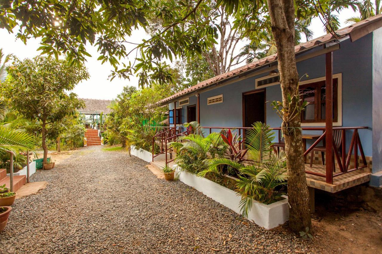 Green Mango Bungalows 캄폿 외부 사진